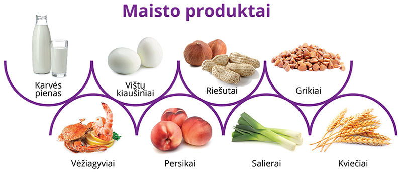 Maisto sukeltas anafilaksinis šokas. Dažniausiai pasitaikantys alergenai.  Maisto sukeltas anafilaksinis šokas. Dažniausiai pasitaikantys alergenai.