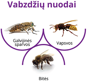 Vabzdžių sukelta anafilaksija dažniausiai pasitaiko vaikams.  Vabzdžių sukelta anafilaksija dažniausiai pasitaiko vaikams.